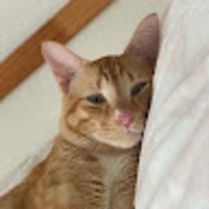 Meet your Posher, Wanjing